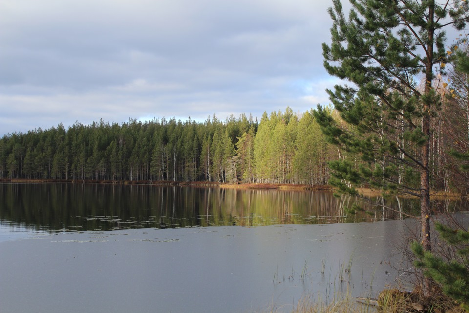 Вадское озеро Нижегородская область