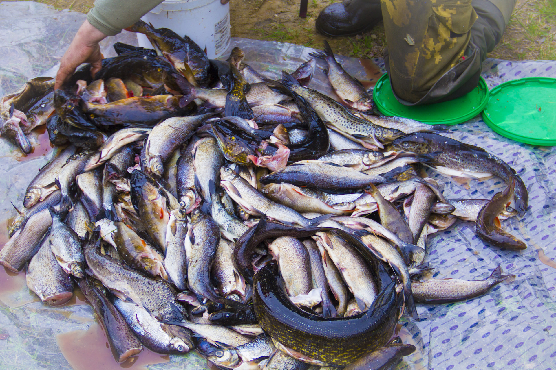 Рыбалка на Иовском водохранилище