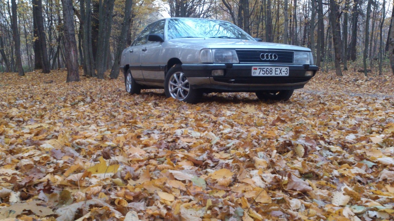 Audi 100 (C3) 2.3 бензиновый 1986 | NG SELEDKA на DRIVE2