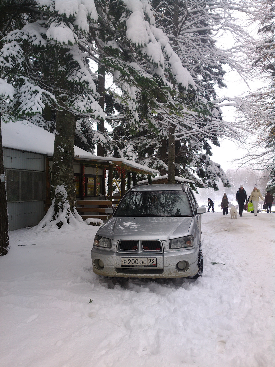 Forester дома из срубов