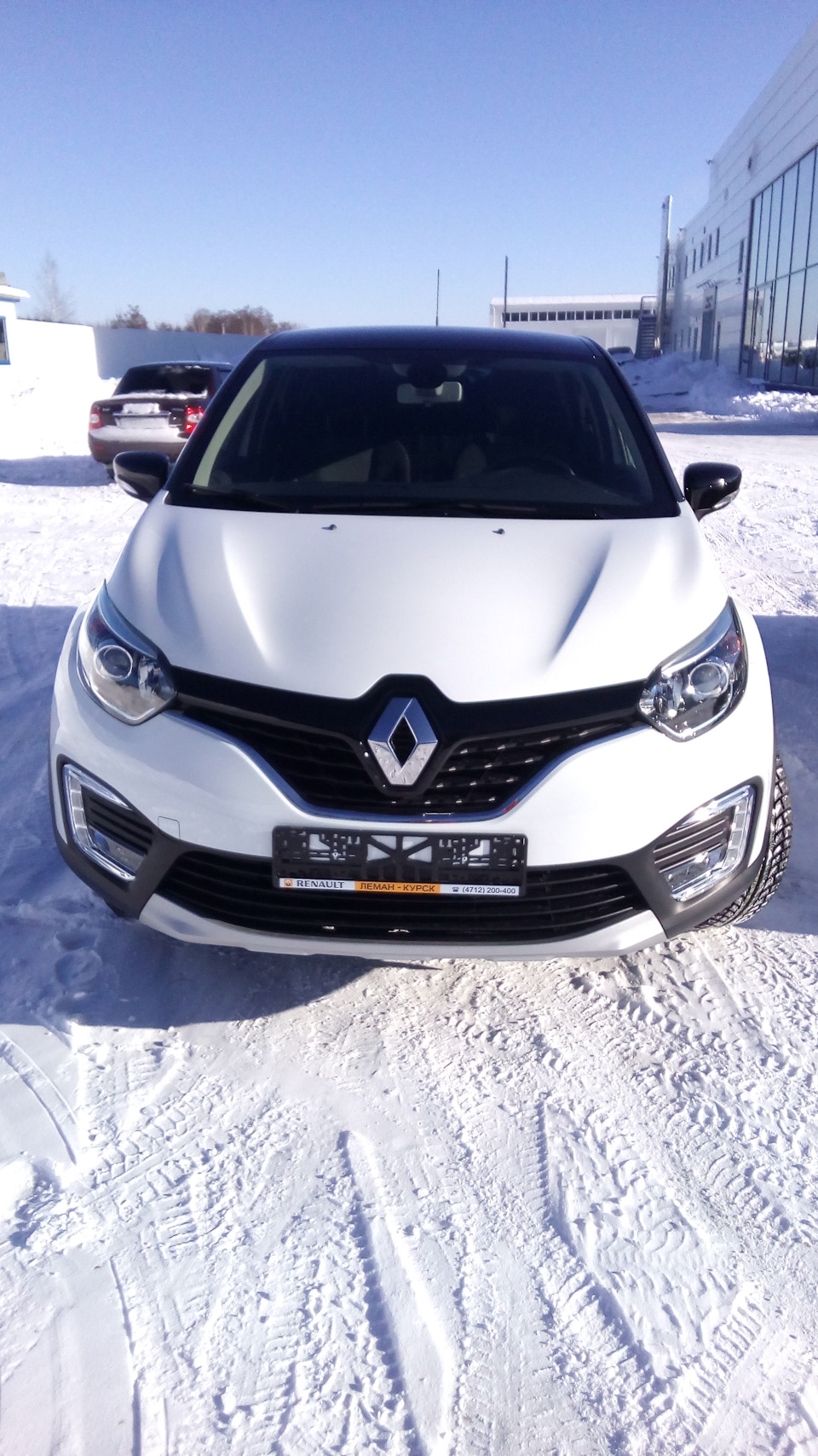 Старший брат Шрэка — Renault Sandero Stepway (2G), 1,6 л, 2016 года |  покупка машины | DRIVE2