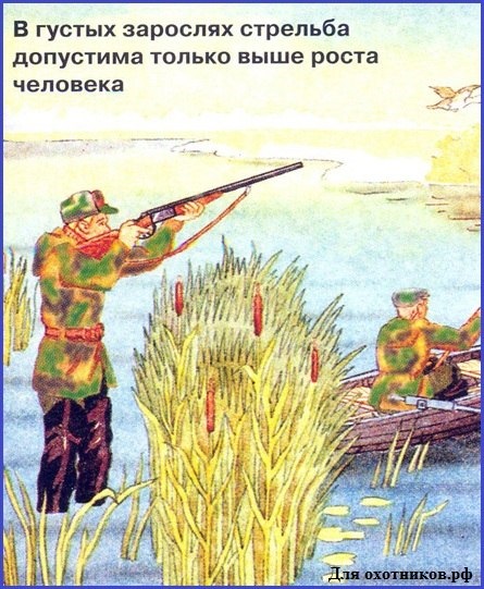 Правила охоты. Техника безопасности на охоте. Плакат «охота и безопасность». Техника безопасности охотника. Техника безопасности с оружием на охоте.