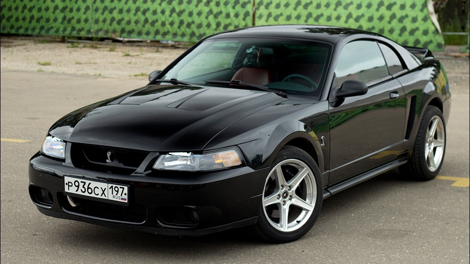 Ford Mustang Svt Cobra Terminator Drive2