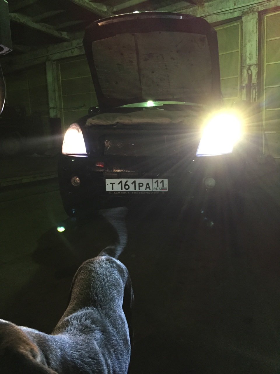 Разница в свете! Галоген слева! — SsangYong Rexton (2G)