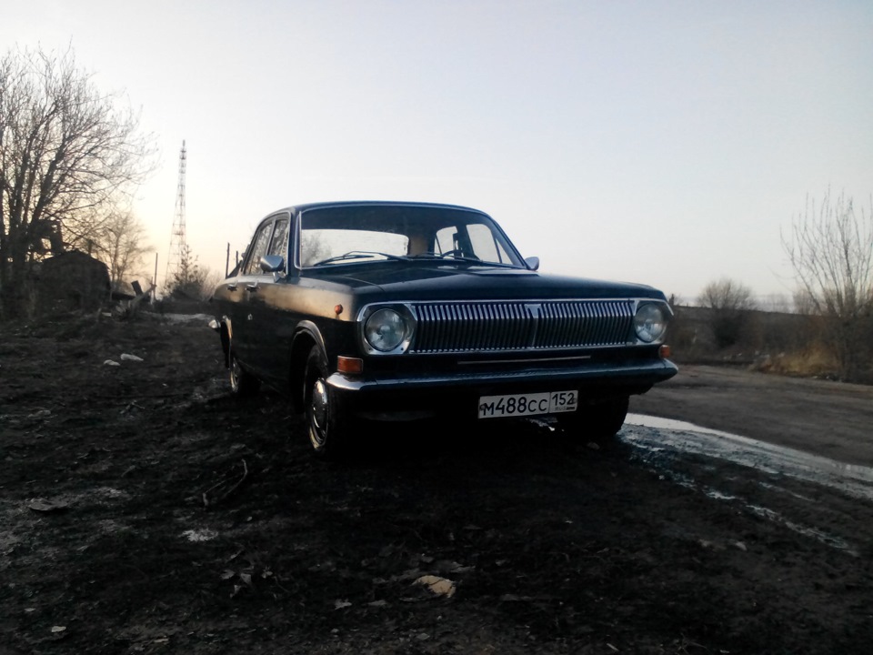 первое весеннее фото 2015) — ГАЗ 2401, 2,4 л, 1979 года | другое | DRIVE2