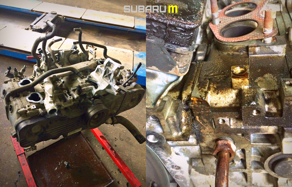 Subaru Forester SH EJ253 с комплексной диагностикой. Диагностика ...