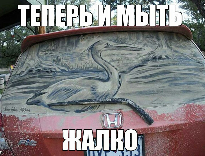 Смешные Картинки 7