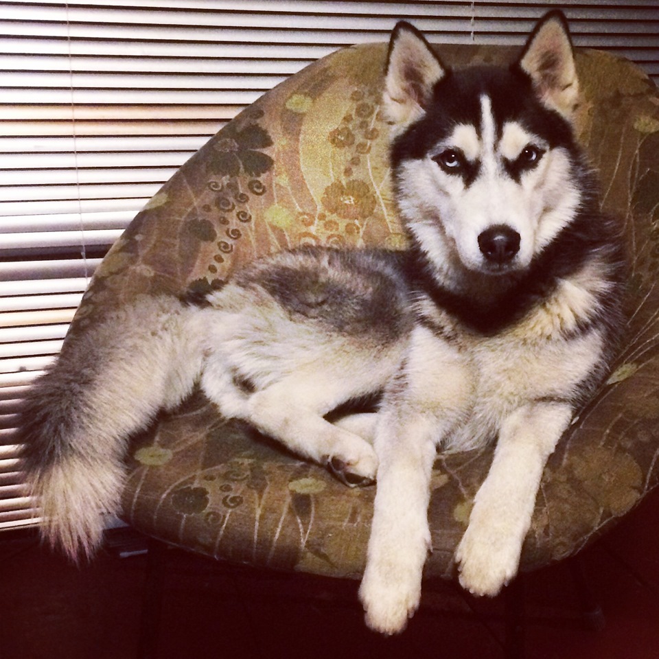 43f65f4s 960 для чего обматывать паук термолентой