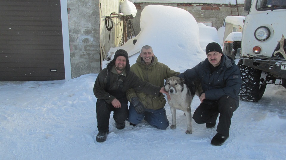 Фото в бортжурнале УАЗ 39095