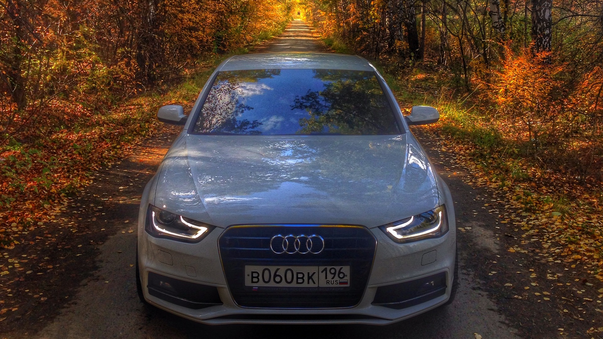 Audi A4 (B8) 1.8 бензиновый 2014 | ☆♕АудитоР♕☆ на DRIVE2