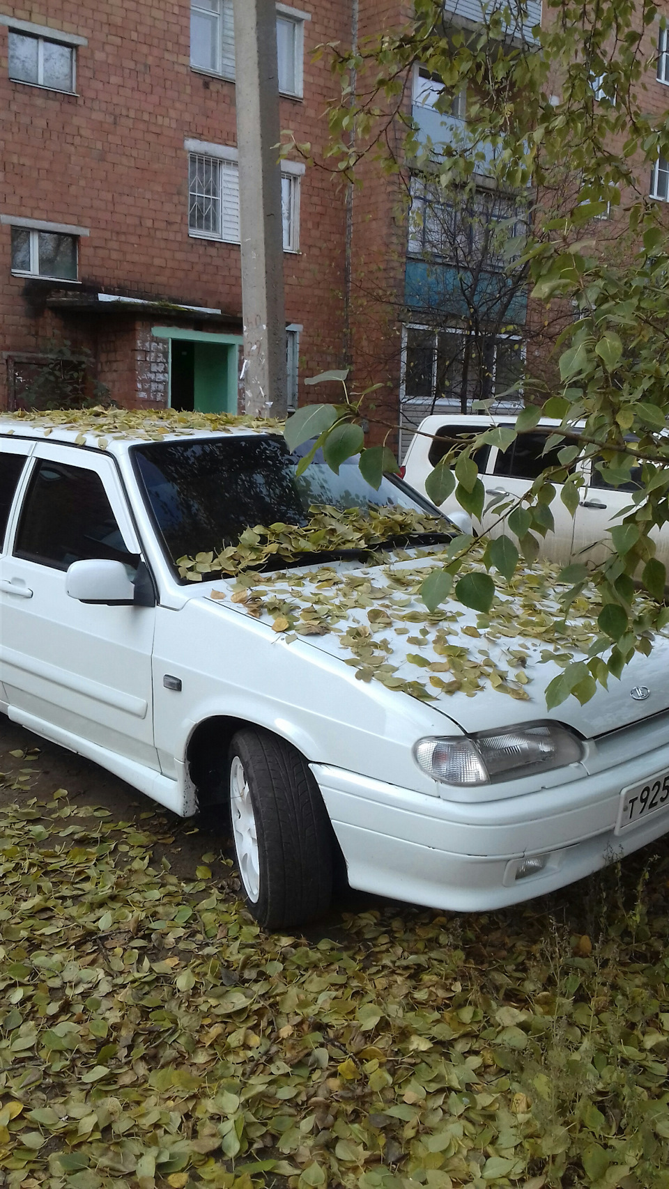 Фото возле дома . — Lada 2114, 1,6 л, 2012 года | фотография | DRIVE2