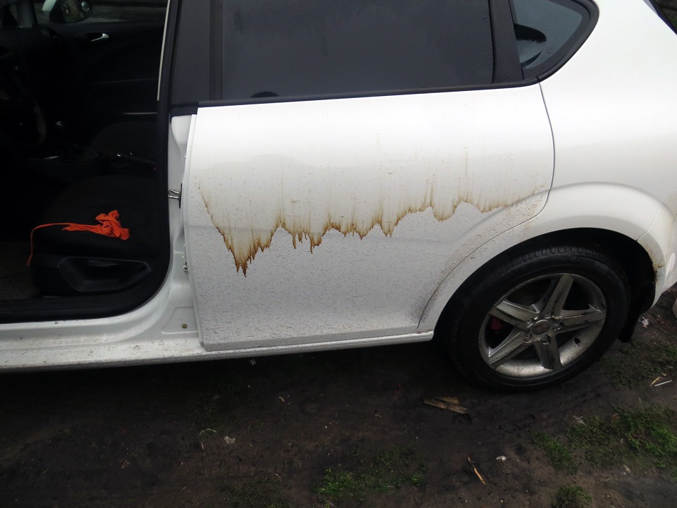 #14 Удаляю битум с машины.part 1 — SEAT Leon (Mk II), 1,2 л, 2012 года ...