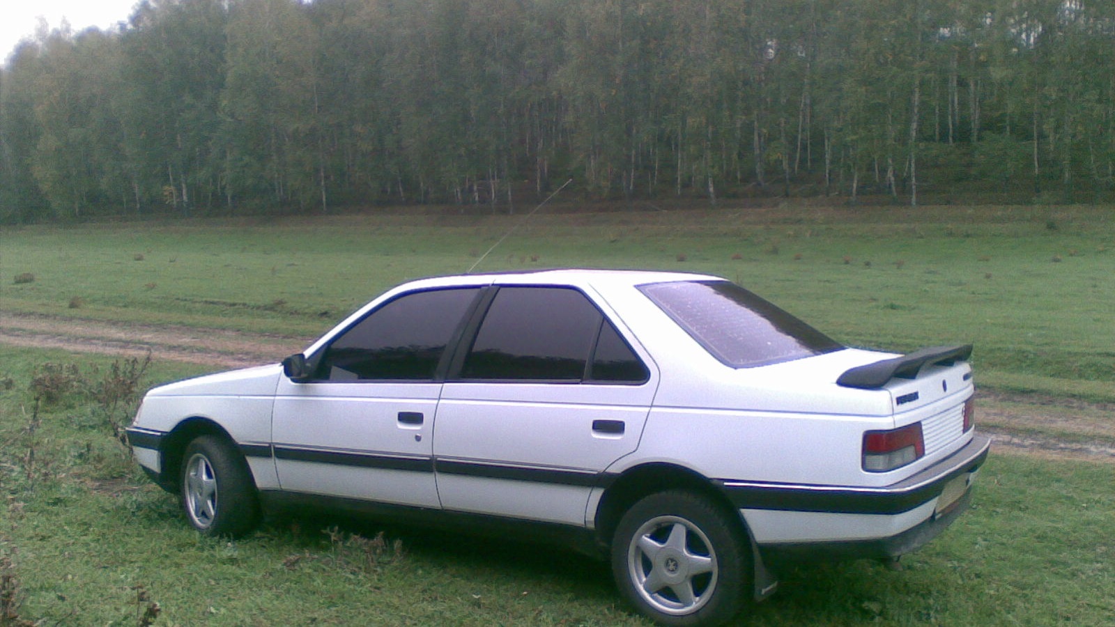 Peugeot 405 1.9 бензиновый 1989 | на DRIVE2