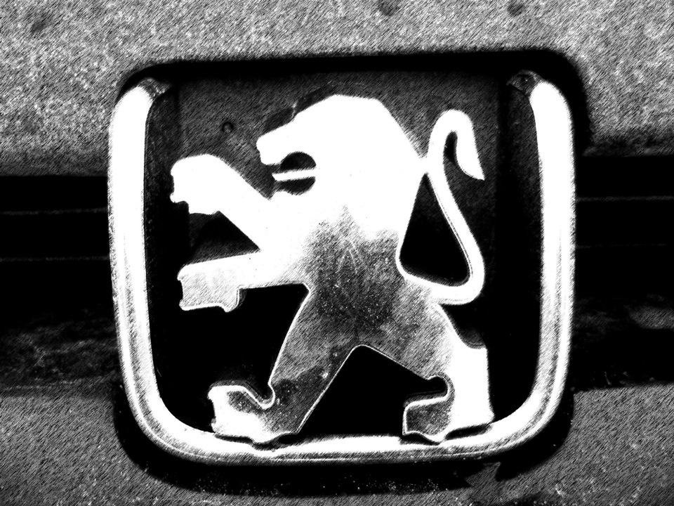 Маленький фотосет большой машины — Peugeot Partner, 1,9 л, 1998 года ...