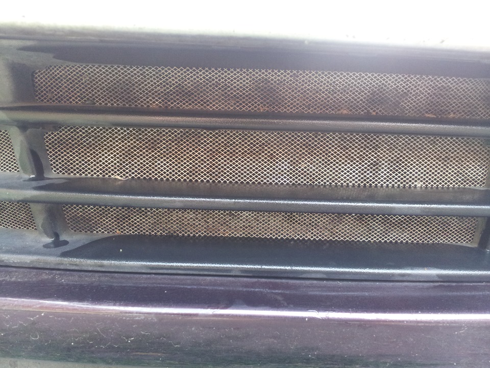 Сетка в радиаторную решетку — Hyundai Elantra (4G), 1,6 л, 2007 года ...