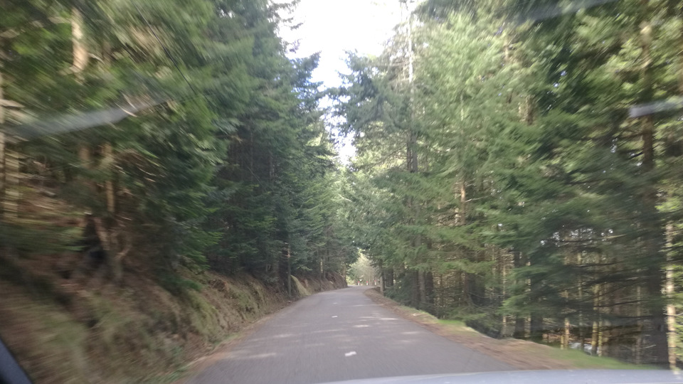 Снега больше нет, ну и хватит уже. Думаю не за горами пекло под 40 :) — Audi A4 (B9)