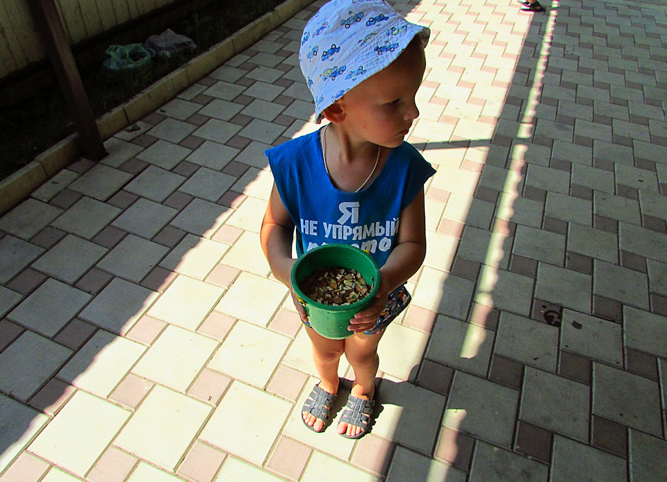 свинина bbq что это. Смотреть фото свинина bbq что это. Смотреть картинку свинина bbq что это. Картинка про свинина bbq что это. Фото свинина bbq что это свинина bbq что это. Смотреть фото свинина bbq что это. Смотреть картинку свинина bbq что это. Картинка про свинина bbq что это. Фото свинина bbq что это