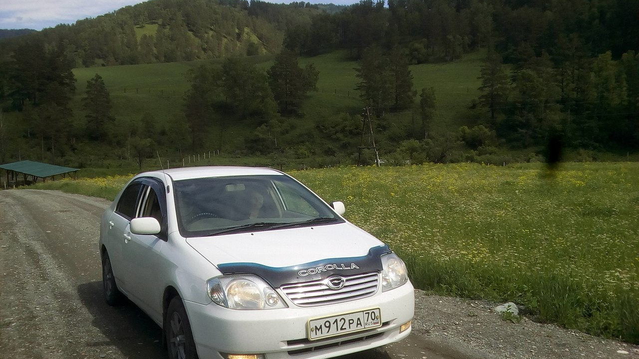 Toyota Corolla (120) 1.5 бензиновый 2001 | на DRIVE2