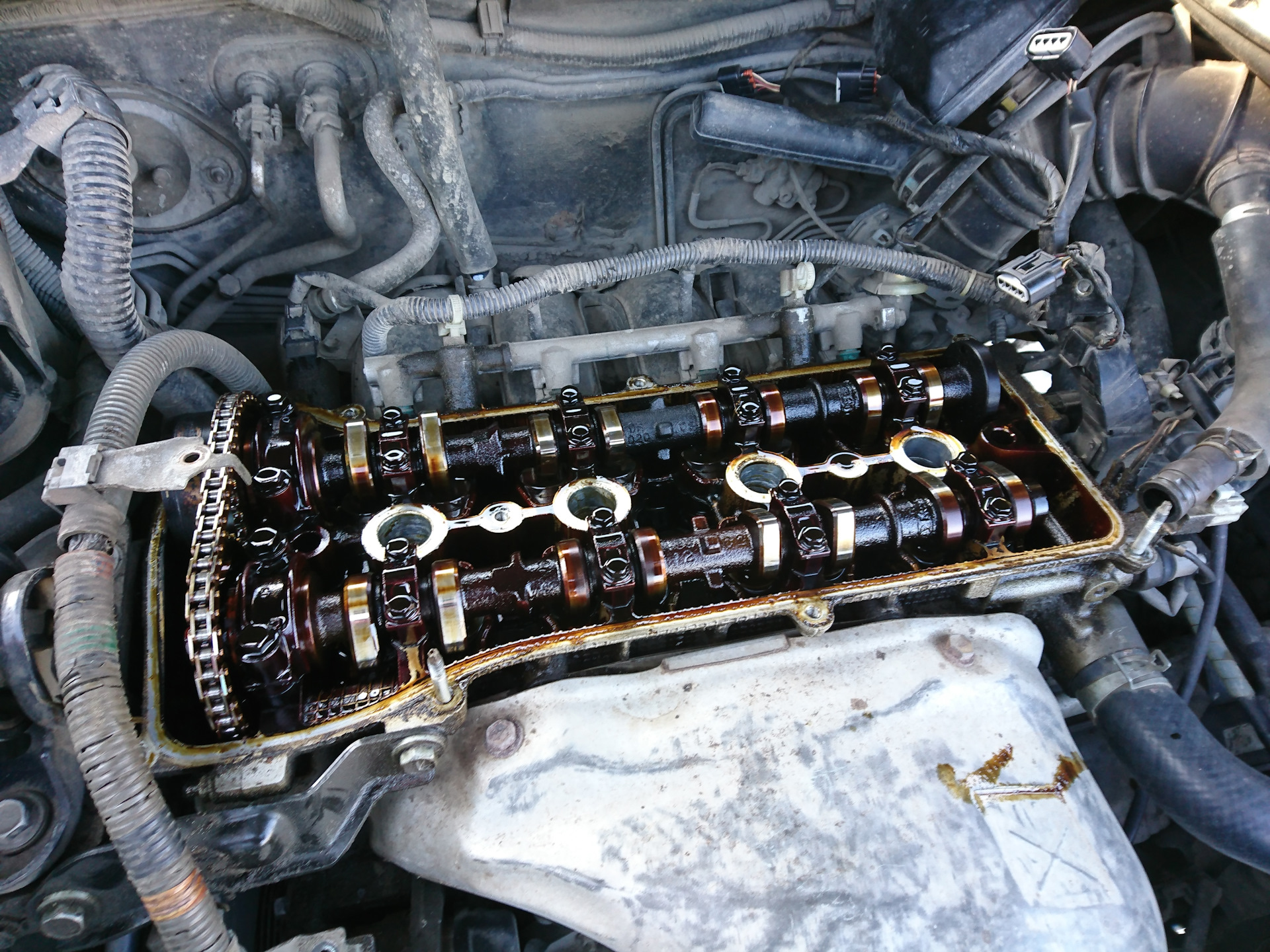 прокладка клапанной крышки камри 2. 4. прокладка клапанной крышки камри 50. 4.