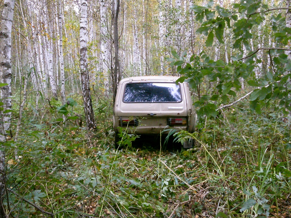 Нива в лесу - Lada 4x4 3D, 1,8 л, 1998 года наблюдение DRIVE2