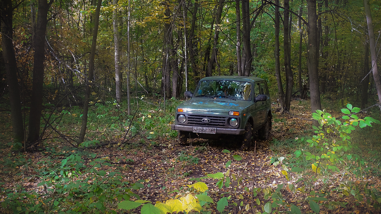 Lada 4x4 3D 1.7 бензиновый 2016 | Оливковые глазки на DRIVE2