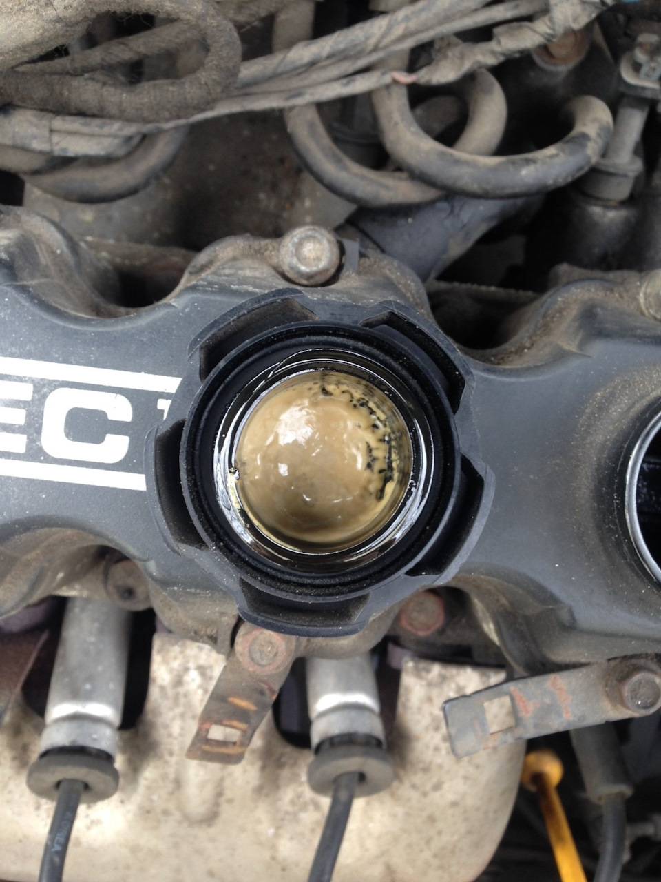 Пена на кришке маслозаливной горловины — Chevrolet Aveo Sedan (1G), 1,5 ...