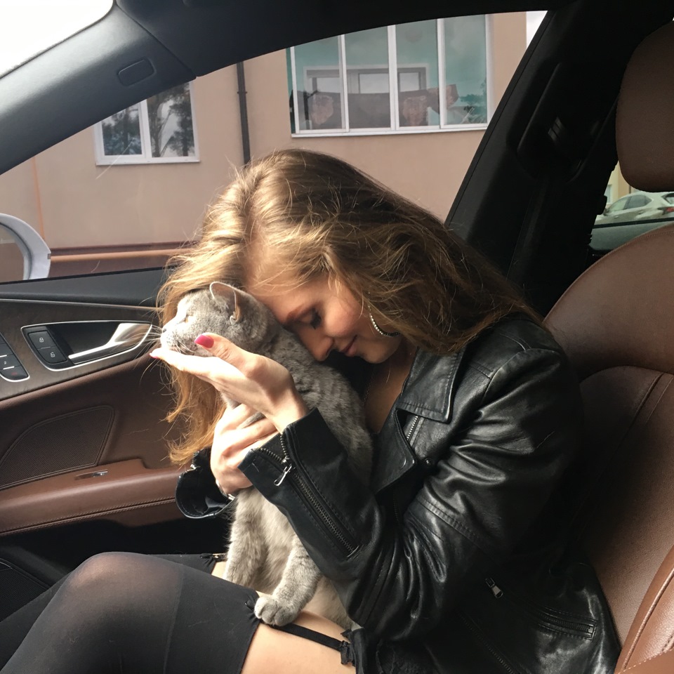 Фото в бортжурнале Audi A7 Sportback (1G)