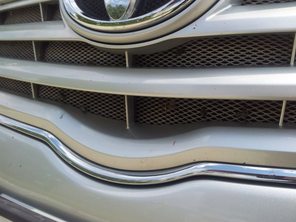 Металлическая сетка в ноздри бампера. — Toyota Avensis II, 1,8 л, 2008 ...