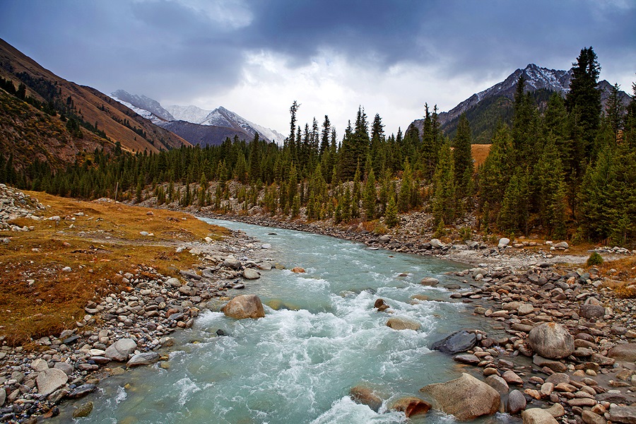 Фото в бортжурнале Infiniti QX70