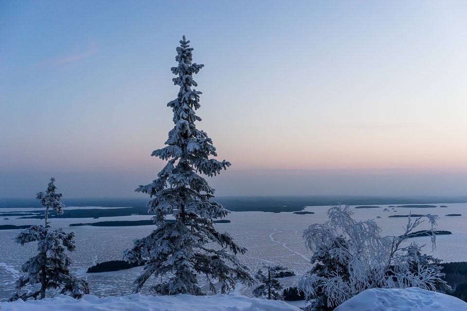 Зима в карелии. Природа Карелии Петрозаводск зима. Петрозаводск зима природа. Петрозаводск лес зимой. Сямозеро зимой.