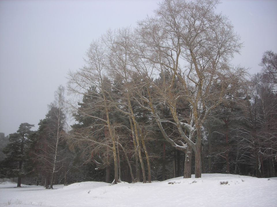 Фото в бортжурнале Renault Sandero 2G