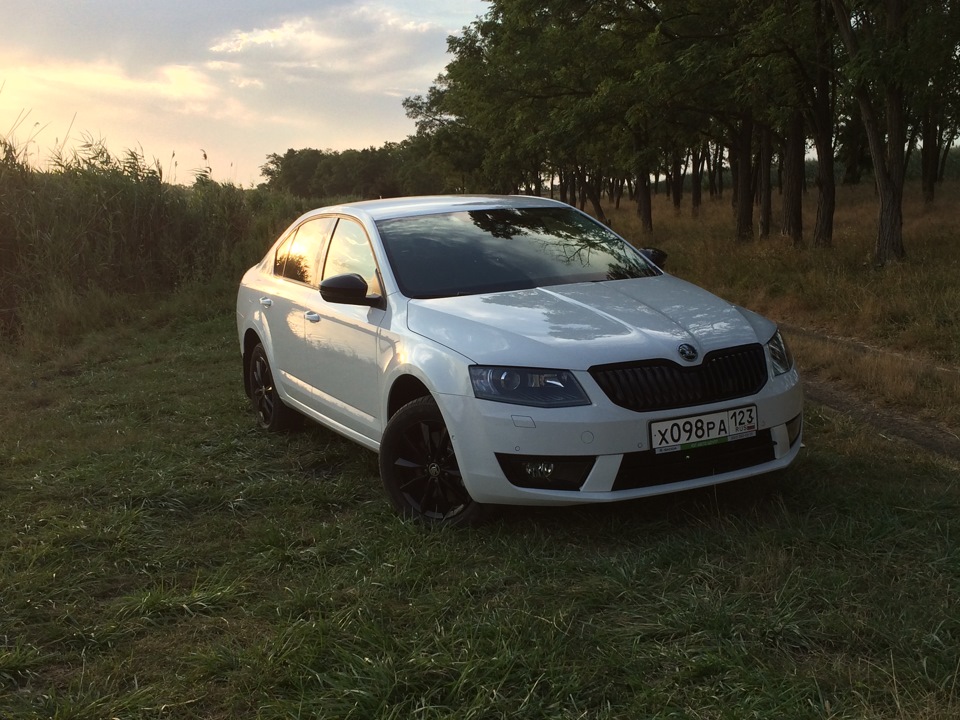 Фото в бортжурнале Skoda Octavia A7 Mk3