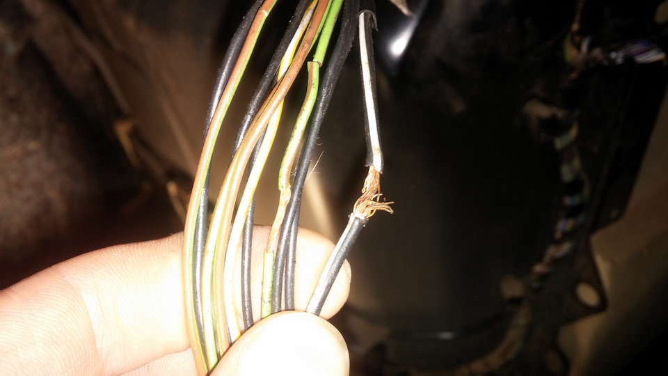 Вообщем при открытии и закрытии багажника эти провода постоянно сгибались (у двух просто лопнула оплетка) а один был переломлен совсем — Ford Focus Sedan III