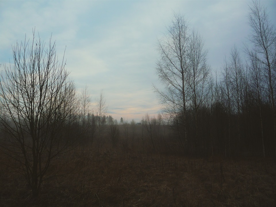 Ездил на охоту и начал клеить шумку. — Citroen Berlingo (1G), 1,4 л ...