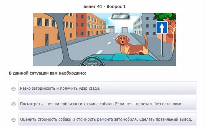 Смешные картинки про экзамены в гаи, картинки красивые