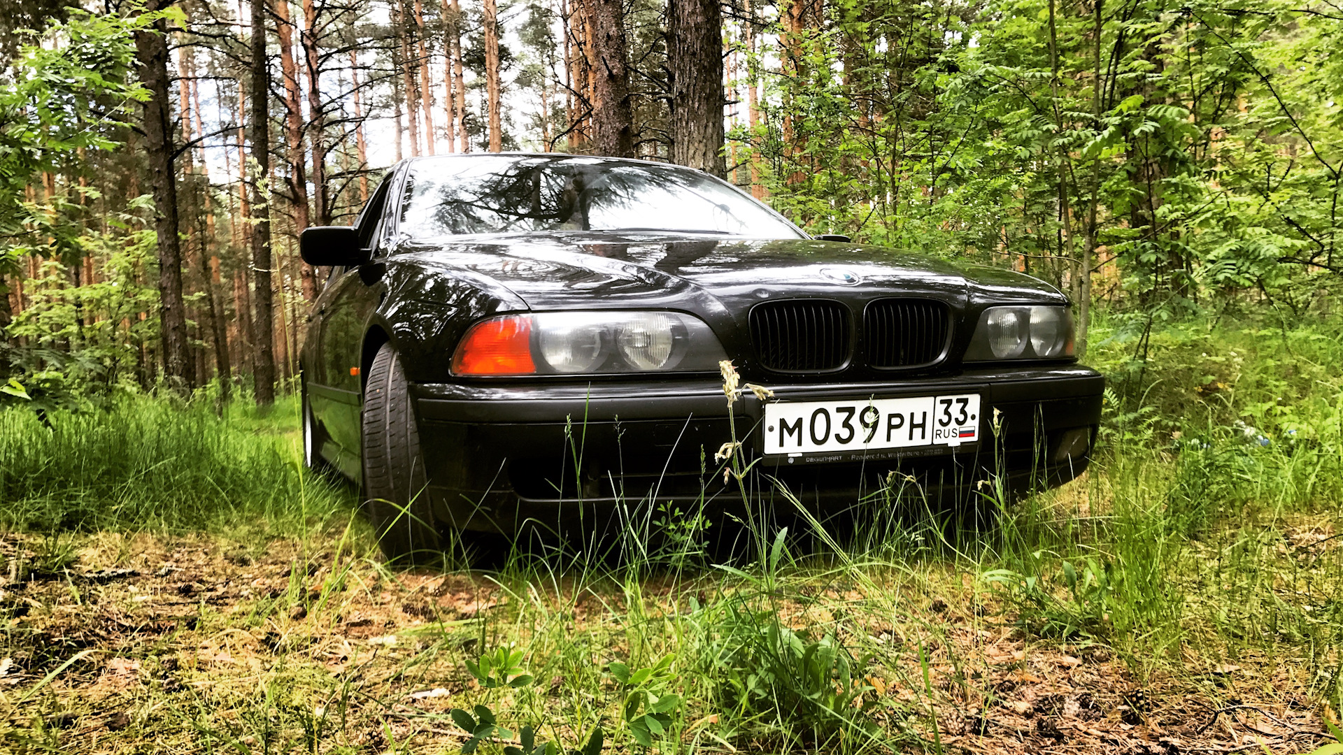 BMW 5 series (E39) 2.0 бензиновый 1998 | BMW 520 на DRIVE2