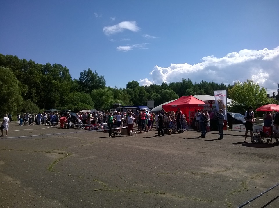 Спидометр и масло. — ГАЗ 3110, 2,3 л., 1999 года | своими руками | DRIVE2