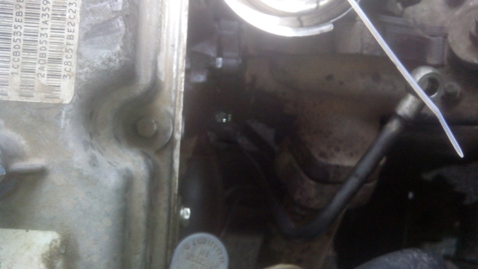 Фото в бортжурнале SsangYong Kyron