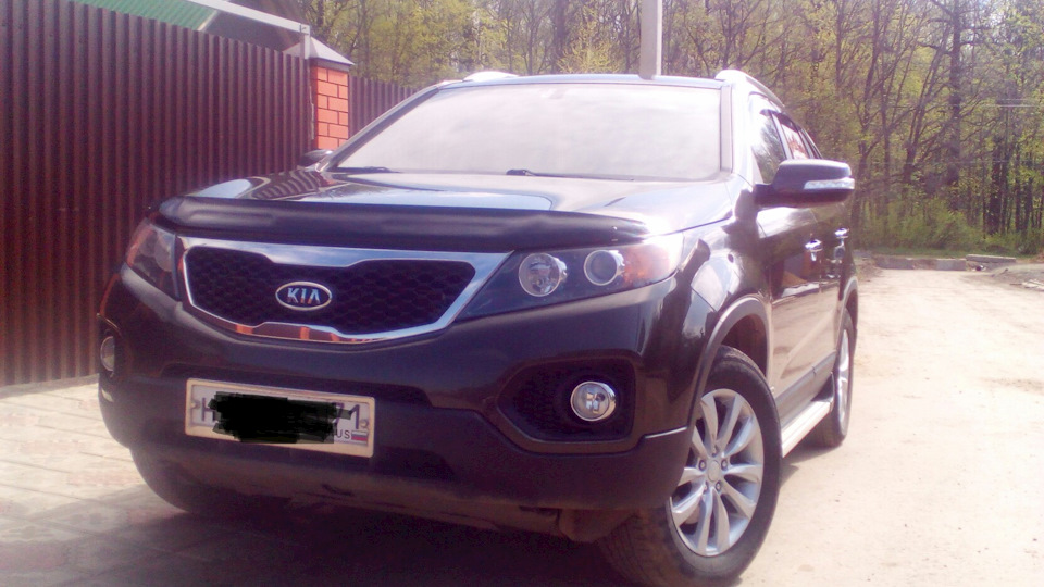 KIA Sorento "brown handsome"