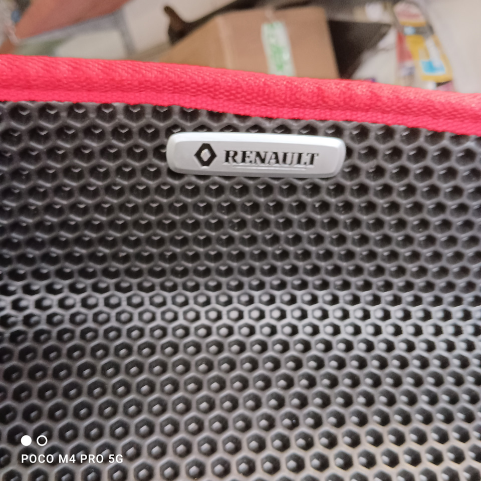 Фото в бортжурнале Renault Sandero 2G