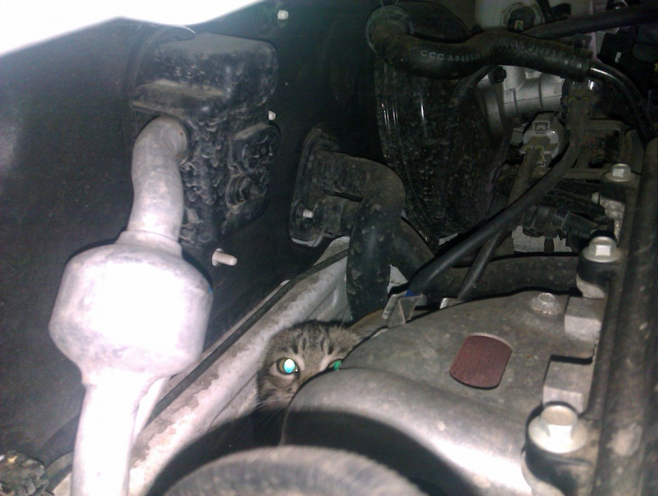 КОТЭ — KIA Picanto (2G)