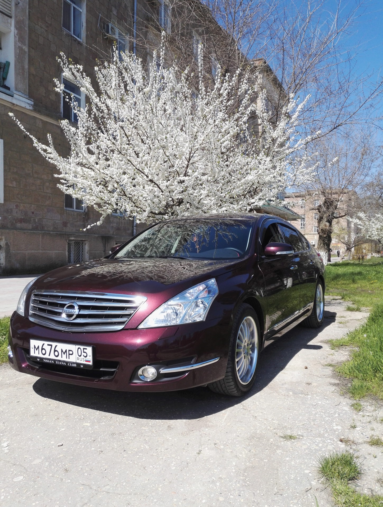 Nissan Teana Купить Красноярск