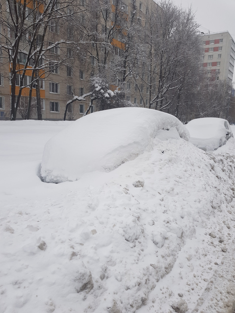 Вот такая зима в Москве — DRIVE2