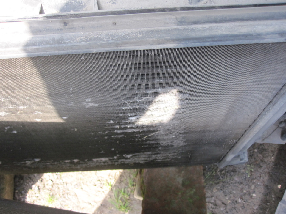 Фото в бортжурнале SEAT Leon (Mk II)