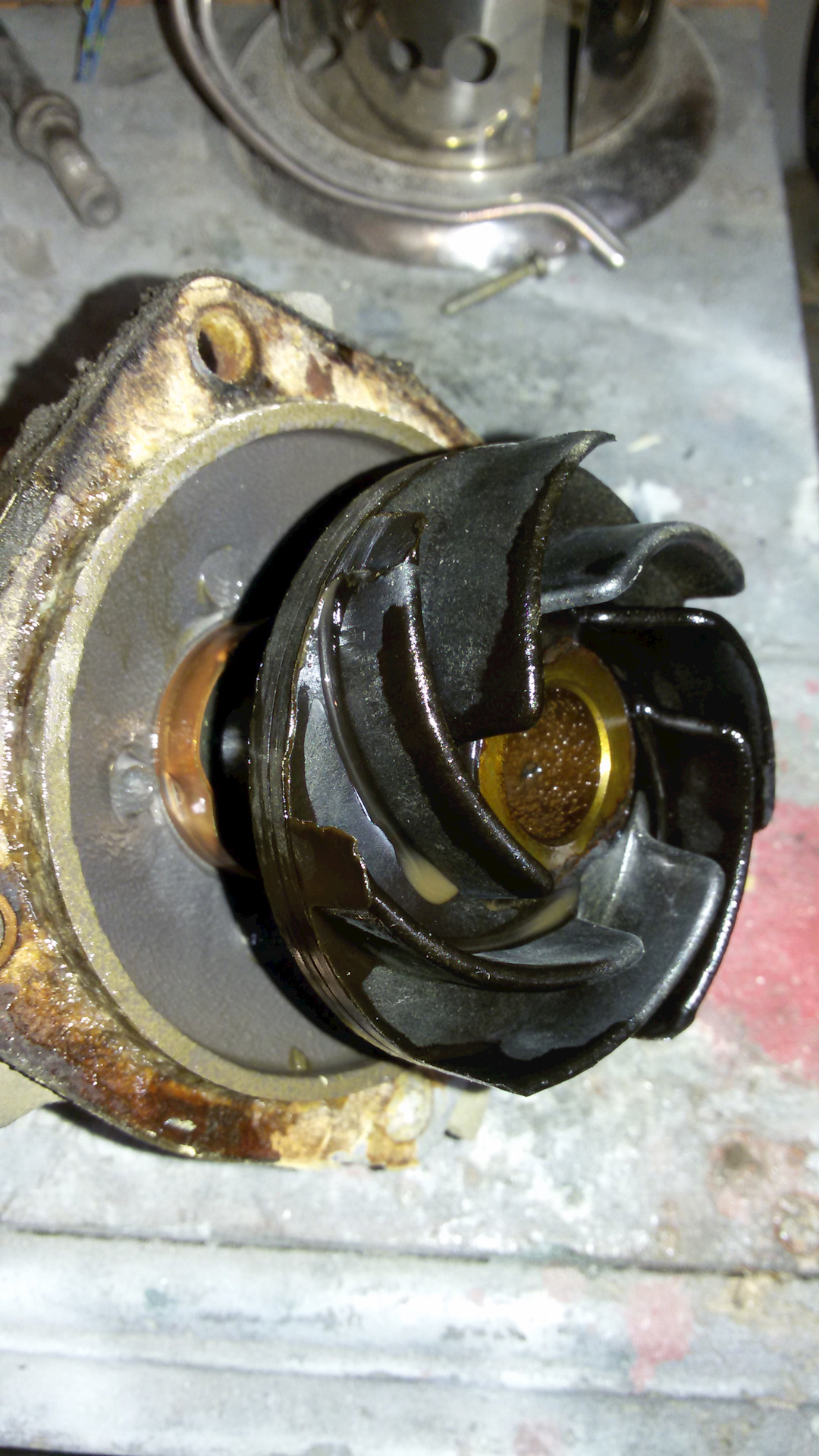 ��� ��������� ����� �� ����������� �����