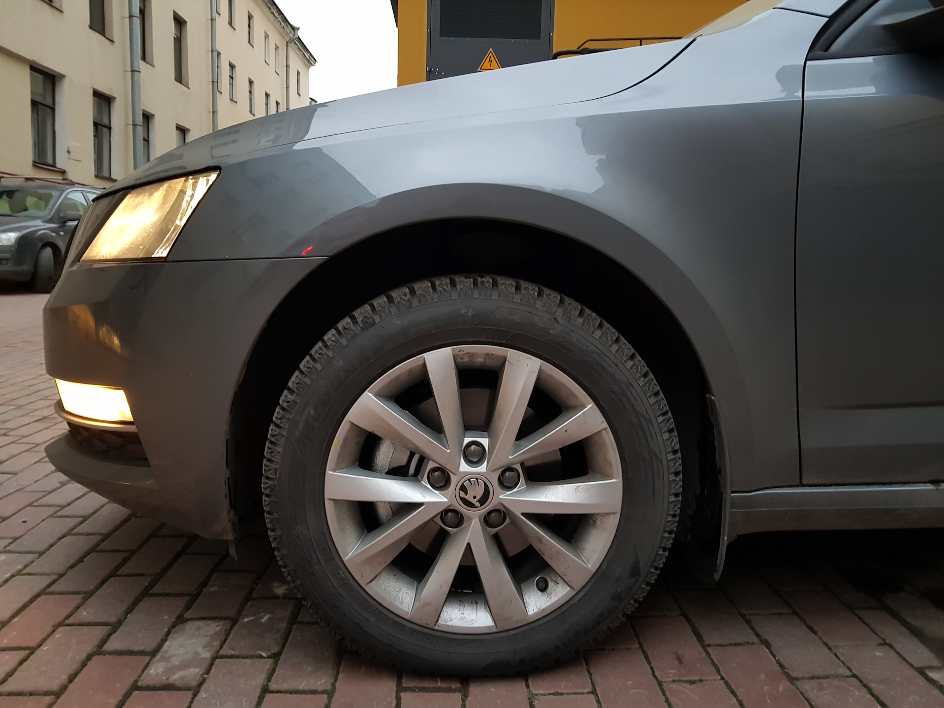 шкода покрышка