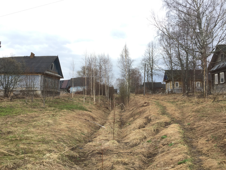 Деревни тверской обл. Тверская область заброшенные деревни. Тверская область, опустевшие деревни. Тверская Губерния заброшенные деревни.