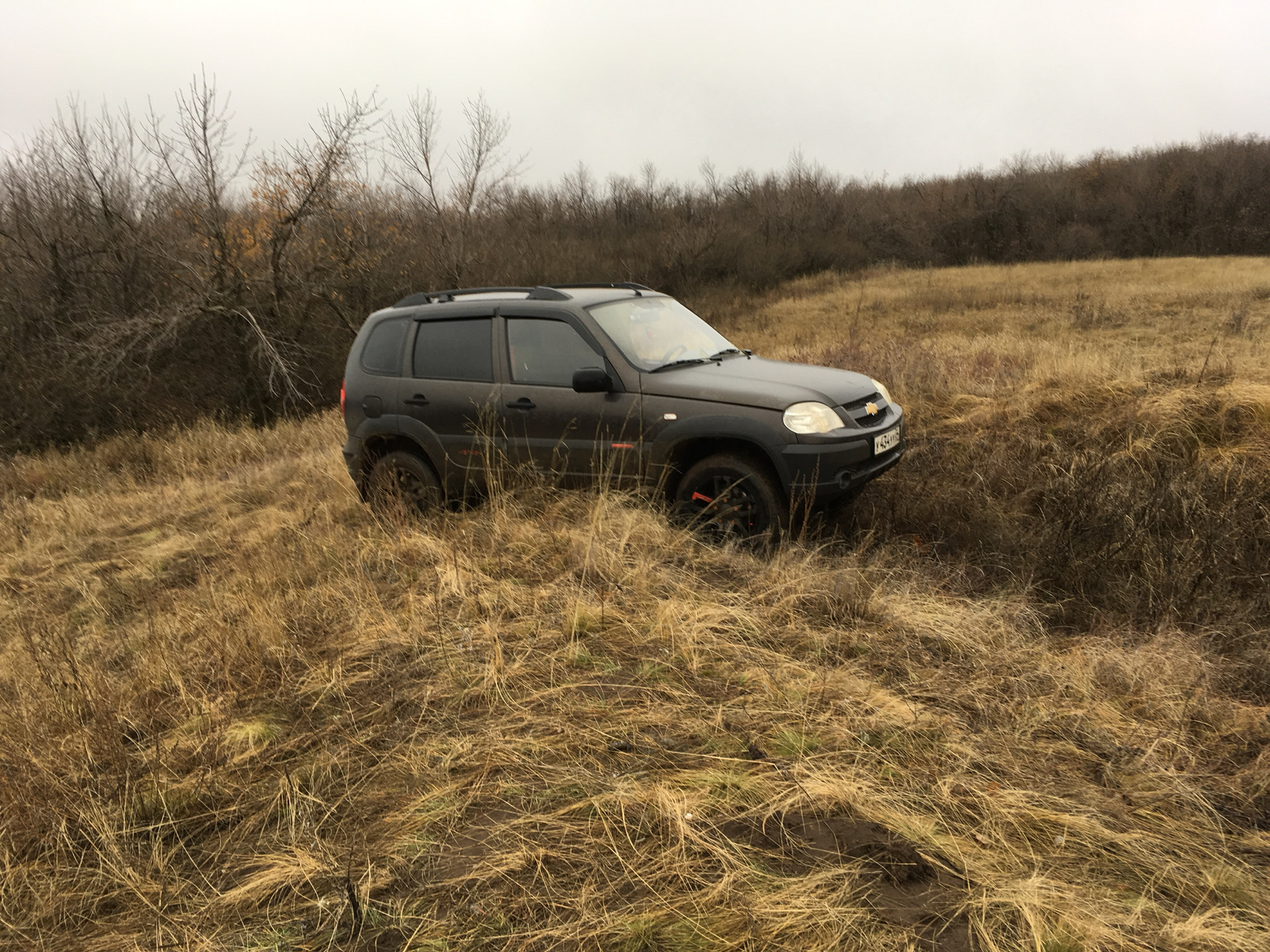 Нива волгоградская область. Chevrolet Niva Волгоградская область. Заброшенная Шевроле Нива. Нива в деревне. Шевроле Нива заброшенная заброшенная.