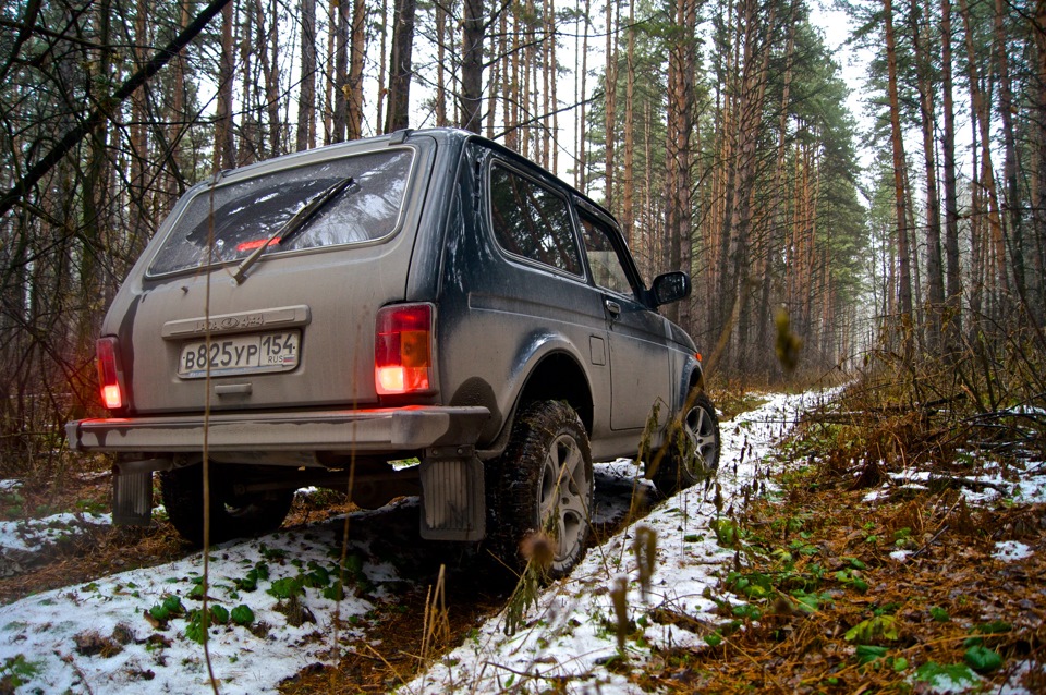 Запись № 18 (прогулка в лес) - Lada 4x4 3D, 1,7 л, 1995 года просто так DRIVE2