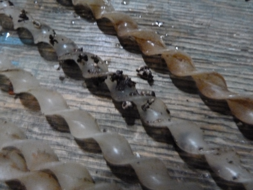 Турбулизаторы в радиаторе печки. Нужны или нет? — ГАЗ 3110, 2,3 л, 1999 ...